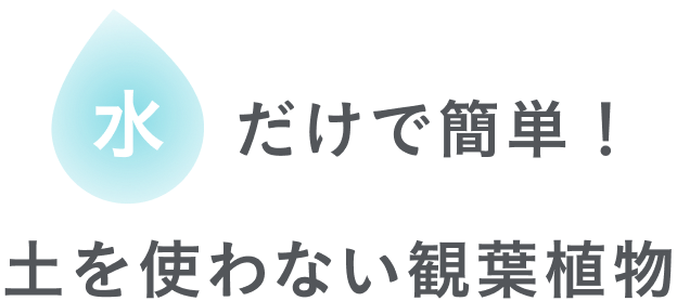 土を使わないので清潔。気軽にどこにでも置ける