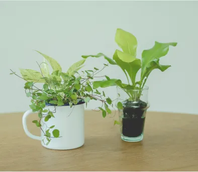 気分に合わせて簡単に飾り方を変えて。