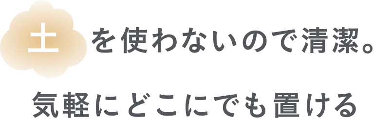 土を使わないので清潔。気軽にどこにでも置ける
